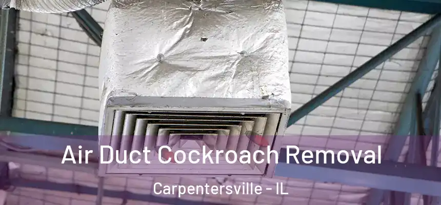 Air Duct Cockroach Removal Carpentersville - IL