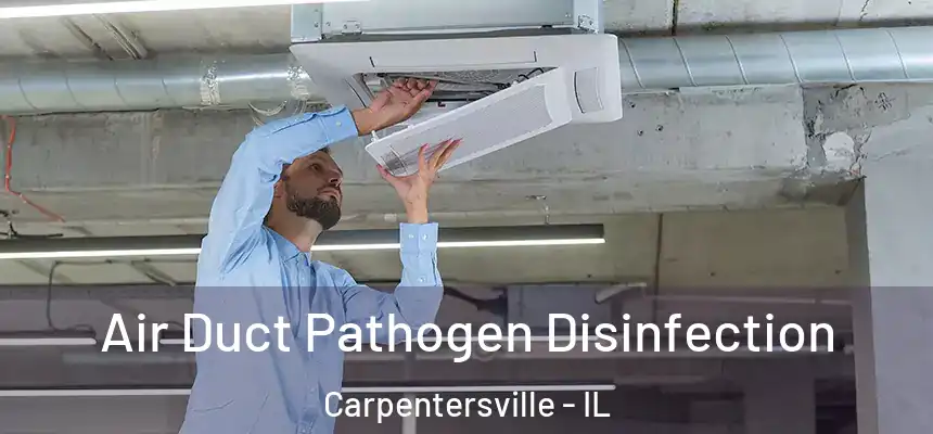  Air Duct Pathogen Disinfection Carpentersville - IL