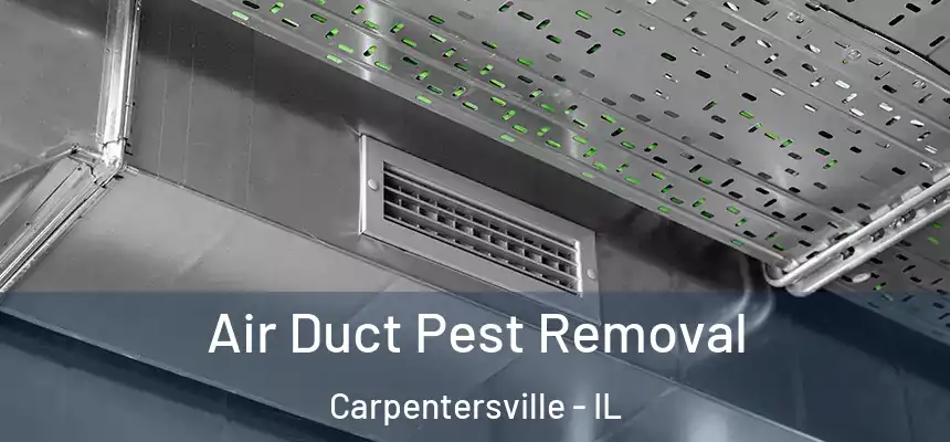  Air Duct Pest Removal Carpentersville - IL