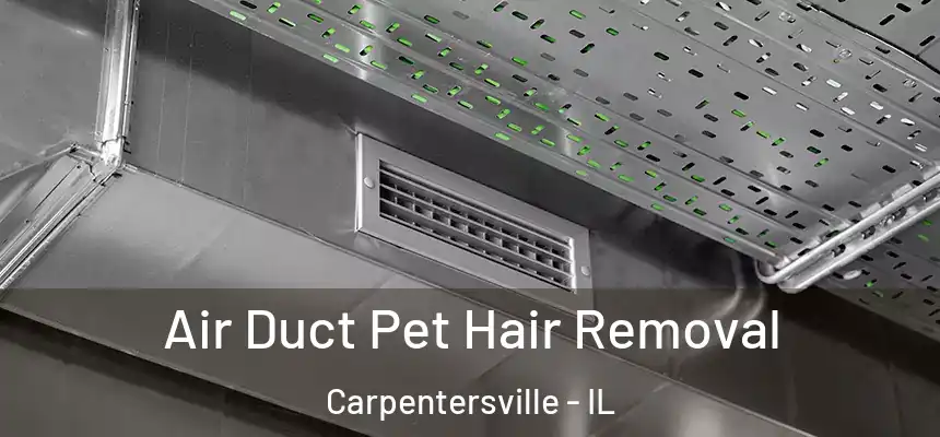  Air Duct Pet Hair Removal Carpentersville - IL