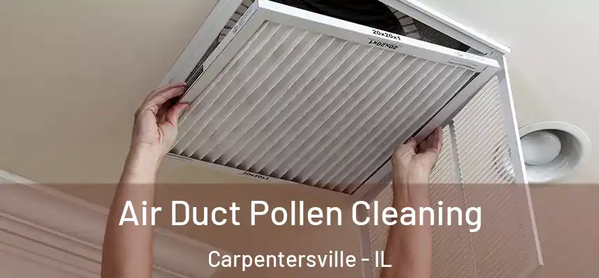 Air Duct Pollen Cleaning Carpentersville - IL