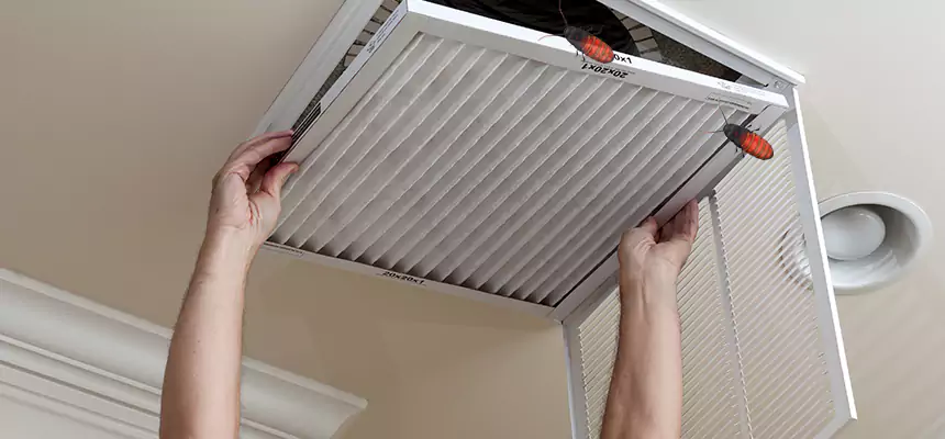 Our Insect Removal from Air Ducts Services in Carpentersville, IL