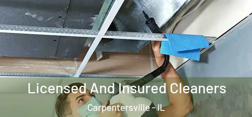 Licensed And Insured Cleaners Carpentersville - IL