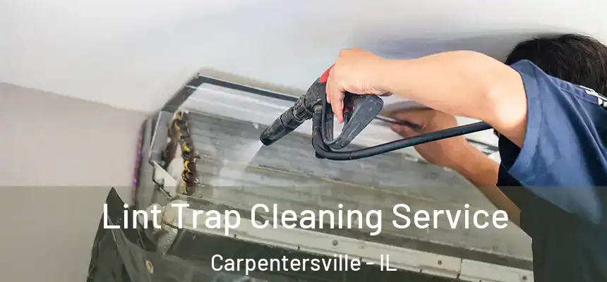  Lint Trap Cleaning Service Carpentersville - IL