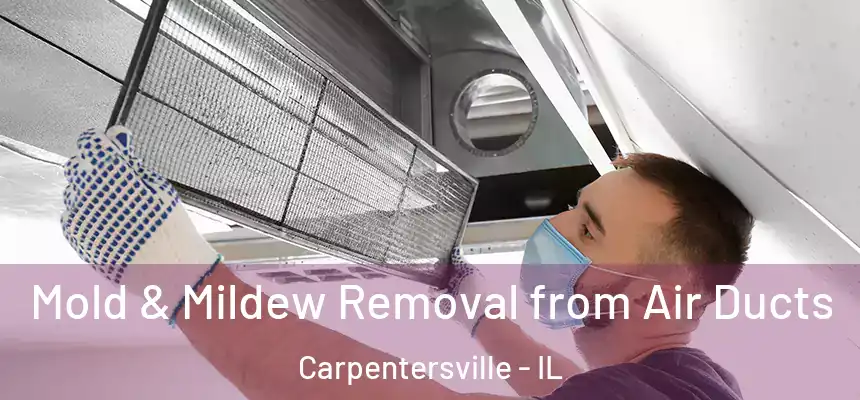  Mold & Mildew Removal from Air Ducts Carpentersville - IL