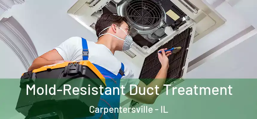  Mold-Resistant Duct Treatment Carpentersville - IL