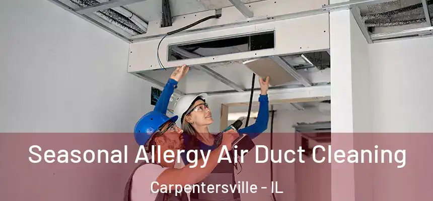 Seasonal Allergy Air Duct Cleaning Carpentersville - IL