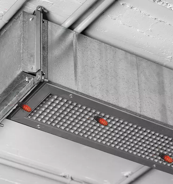 About Air Duct Cockroach Removal in Carpentersville, IL