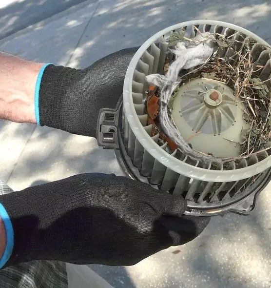 About Air Duct Rat Removal in Carpentersville, IL