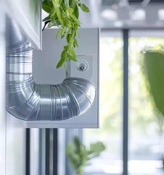 Professional Eco-Safe Dryer Vent Cleaning in Carpentersville, IL