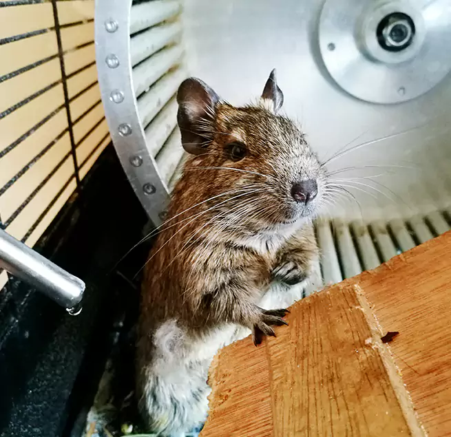 Why Homeowners & Businesses Trust Us Carpentersville, IL?