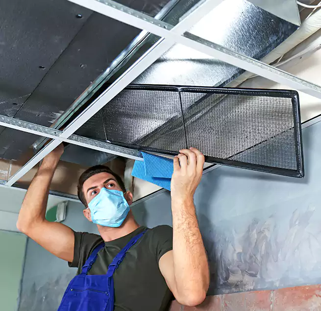 Why Homeowners Businesses Trust Us in Carpentersville, IL