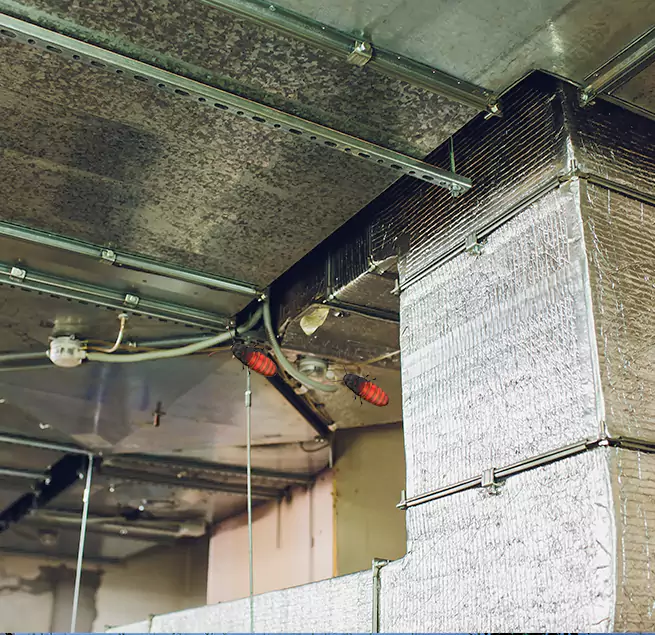 Why Homeowners & Businesses Trust Us Carpentersville, IL?